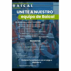 Maestros Electricistas y Mecánicos