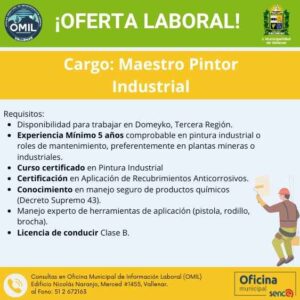 Maestro Pintor Industrial