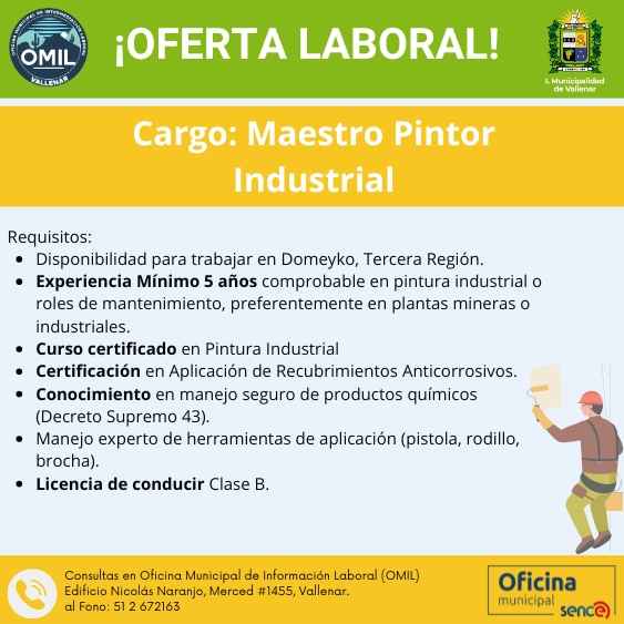Maestro Pintor Industrial