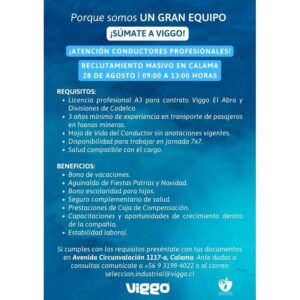 Conductores Profesionales