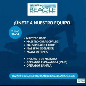 Oportunidades en Ingeniería Beagle