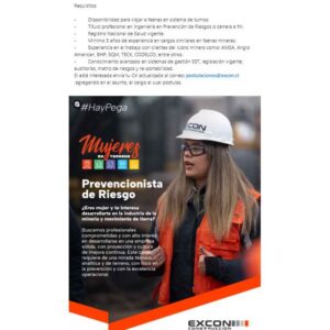 Prevencionista de Riesgo