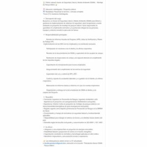 Asesor de Seguridad, Salud y Medio Ambiente