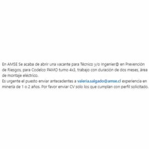 Técnico y/o Ingeniero en Prevención de Riesgos