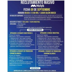 Reclutamiento Masivo en Molylb