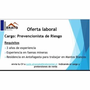 Prevencionista de Riesgo