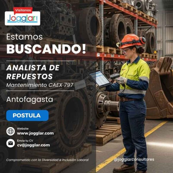 Analista de Repuestos