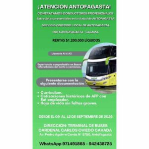 Conductores Profesionales en Antofagasta