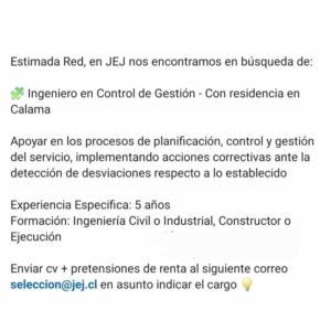 Ingeniero en Control de Gestión