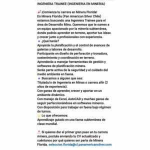 Ingeniero Trainee en Minería