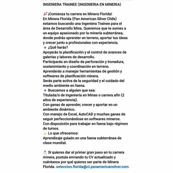 Ingeniero Trainee en Minería