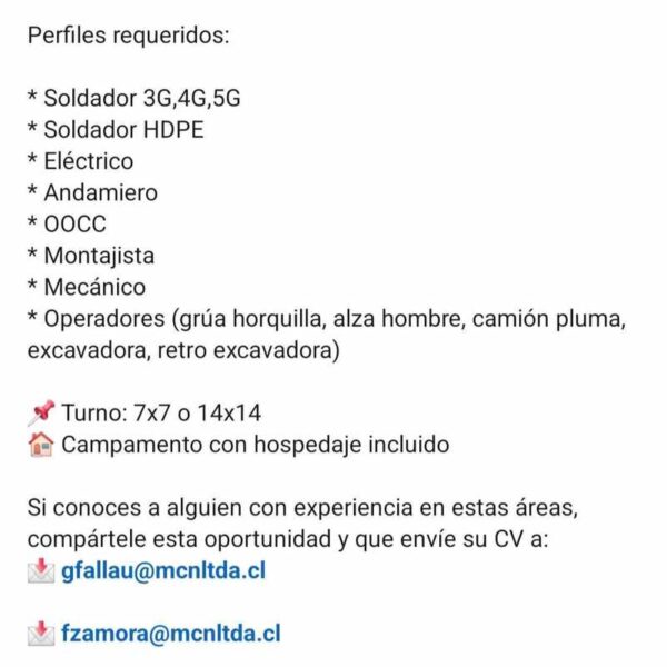 Perfiles Técnicos Requeridos