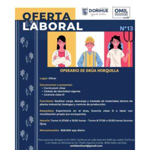 Oferta de Empleo: Operario de Grúa Horquilla