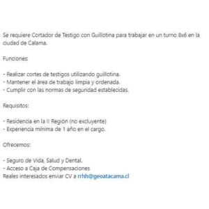 Técnico en Mantenimiento Industrial
