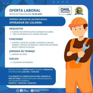 Operador de Calderas