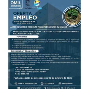 Asesor en Medio Ambiente para Faena ENAMI El Salado