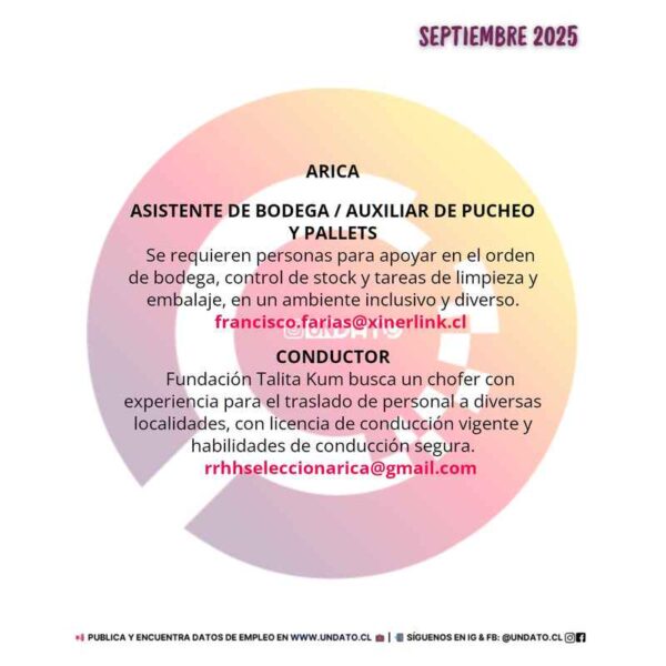 Asistente de Bodega / Auxiliar de Pucheo y Pallets