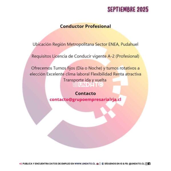 Conductor Profesional