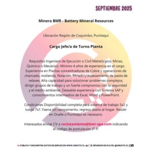 Jefe/a de Turno Planta