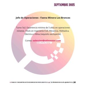Jefe de Operaciones - Faena Minera Los Bronces