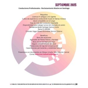 Conductores Profesionales para Faenas Minerales
