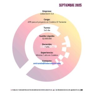 Ingeniero APR Codelco El Teniente