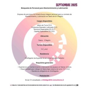 Mantenimiento y Lubricación en Faena