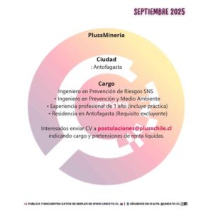 Ingenieros en Prevención para PlussMineria