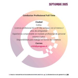 Conductor Profesional Full Time