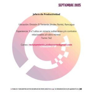 Jefe/a de Productividad