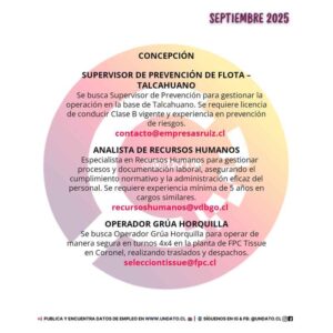 Supervisor de Prevención de Flota - Talcahuano
