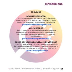 Docente y Vulcanizador en Coquimbo