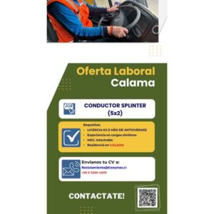 Conductor Profesional A3
