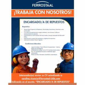 Encargado/a de Repuestos