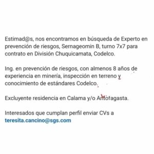 Experto en Prevencion de Riesgos
