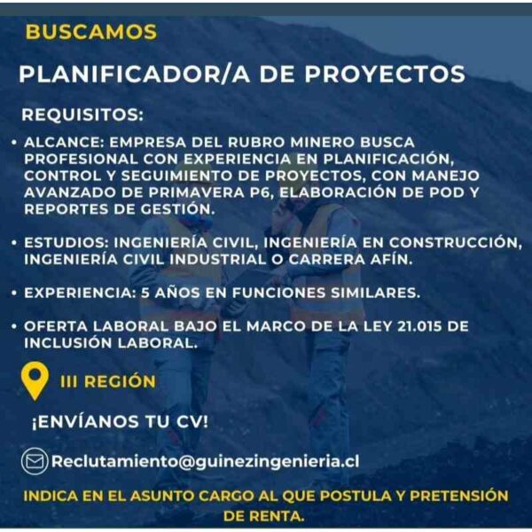 Planificador/a de Proyectos