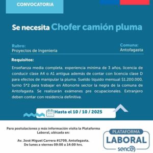 Chofer de Camion Pluma