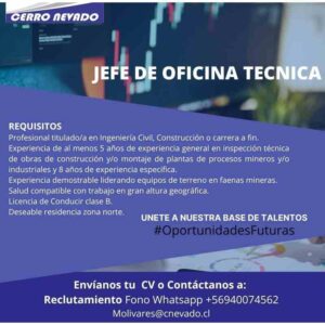 Ingeniero Civil Inspección Técnica