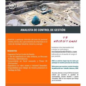 Analista de control de Gestion
