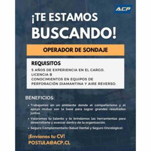 REQUISITOS: 5 AÑOS DE EXPERIENCIA Y LICENCIA B