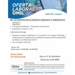 ING. EN PREVENCION DE RIESGOS LABORALES Y AMBIENTALES