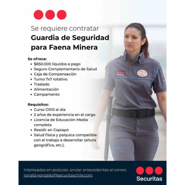 SE BUSCAN GG.SS - GG.SS PATRULLEROS - GG.SS. CCTV - SUPERVISOR DE SEGURIDAD