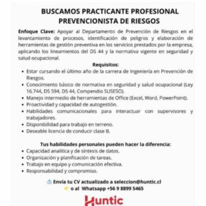 Practicante Profesional Prevencionista de Riesgos