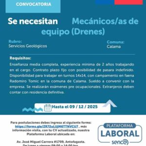 Mecánicos/as de equipo (Drenes)