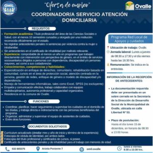 Coordinador/a Servicio Atención Domiciliaria