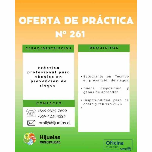 Práctica profesional para técnico en prevención de riesgos – Hijuelas