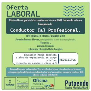 Conductor Profesional - OMIL Putaendo