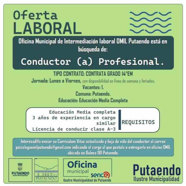 Conductor Profesional - OMIL Putaendo