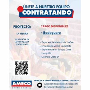 Bodeguero - Proyecto La Negra (Antofagasta)