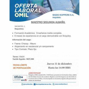 Maestro Segunda Albañil